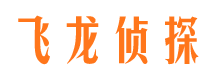 阜阳私人调查